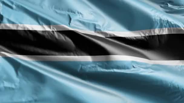 Botswaanse Vlag Wappert Wind Lus Botswana Spandoek Zwaaiend Wind Volledige — Stockvideo