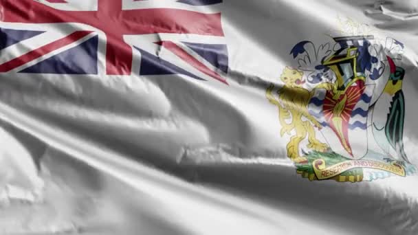 Die Flagge Des British Antarctic Territory Weht Langsam Auf Der — Stockvideo