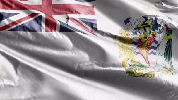 British Antarctic Territory Textile Flag Slow Waving Wind Loop British — Stock Video