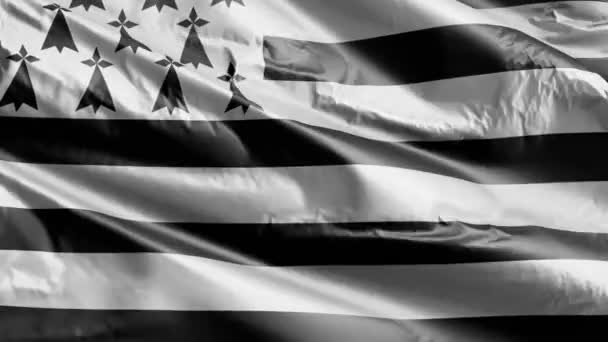 布列塔尼的国旗在风向上飘扬 布列塔尼的旗帜在微风中飘扬 完整的背景 10秒回圈 — 图库视频影像