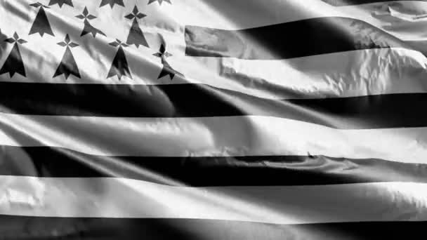 Brittany Textilní Vlajka Vlnící Větrné Smyčce Brittany Prapor Kymácející Větru — Stock video