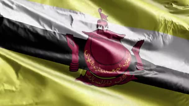 Brunei Bandiera Tessile Sventola Sul Ciclo Del Vento Banner Brunei — Video Stock