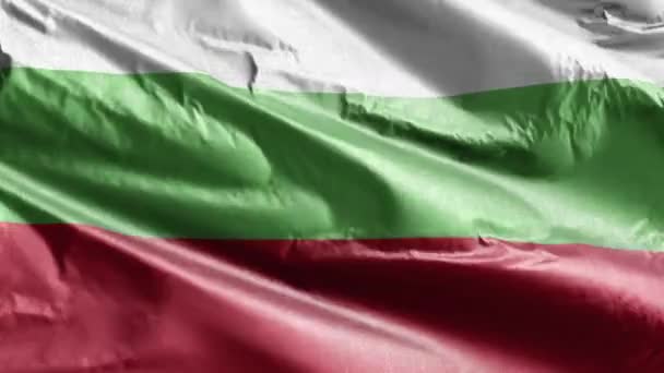 Флаг Болгарии Размахивает Текстильным Флагом Ветровой Петле Болгарское Знамя Раскачивается — стоковое видео