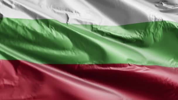 Bulgaristan Rüzgar Döngüsünde Yavaş Dalgalanan Bayrak Bulgar Bayrağı Rüzgarda Hafifçe — Stok video