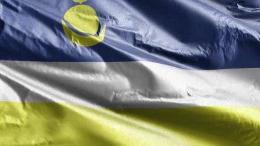 Buryatia tekstil bayrağı rüzgar döngüsünde yavaşça dalgalanıyor. Buryat bayrağı rüzgarda hafifçe sallanıyor. Kumaş dokular. Tam dolgu arkaplanı. 20 saniye döngü. 