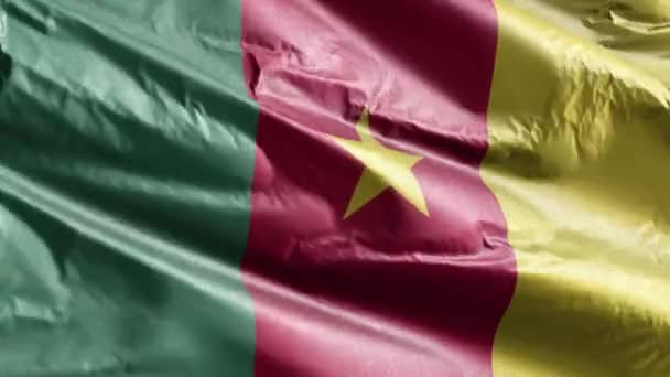 Cameroon Textile Flag Slow Waving Wind Loop Cameroonian Banner Smoothly — Stock Video