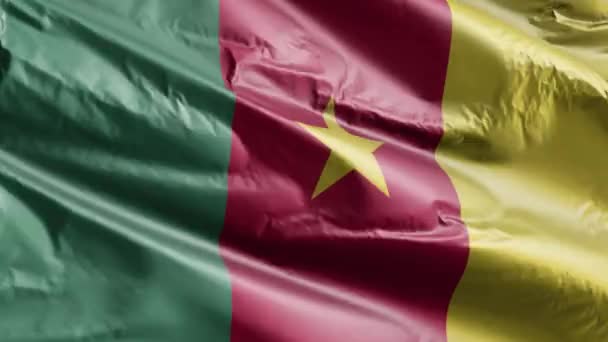 喀麦隆国旗在风圈上飘扬 喀麦隆的国旗在微风中飘扬 完整的背景 10秒回圈 — 图库视频影像