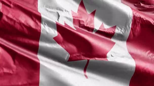 Kanadská Textilní Vlajka Vlnící Smyčce Větru Kanadská Vlajka Vlála Větru — Stock video