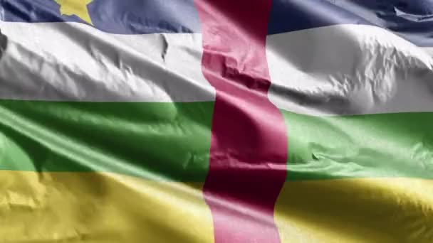 Bandiera Tessile Della Repubblica Centrafricana Sventola Sul Cappio Del Vento — Video Stock