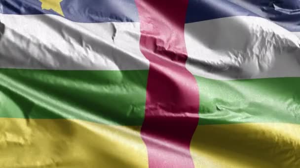 中央アフリカ共和国の繊維の旗は 風の輪の上でゆっくりと手を振る 中央アフリカ共和国のバナーをスムーズに風に揺れる 繊維組織だ 完全充填の背景 20秒ループ — ストック動画