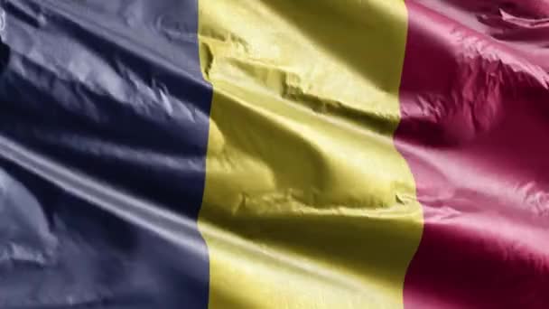 Bandera Textil Chad Ondeando Bucle Del Viento Una Pancarta Elegante — Vídeos de Stock