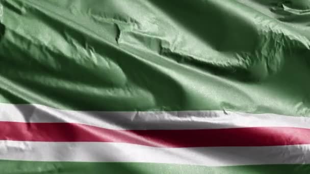 República Chechena Ichkeria Bandeira Têxtil Lenta Acenando Loop Vento Checheno — Vídeo de Stock