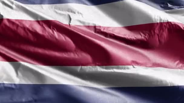 Σημαία Της Κόστα Ρίκα Κυματίζει Στον Βρόχο Του Ανέμου Σημαία — Αρχείο Βίντεο