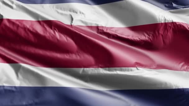 Costa Rica Flag Slow Waving Wind Loop Costa Rican Banner — Stock Video