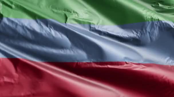 Szigorú Textilzászló Lengett Szélhurkon Dagesztán Zászló Lengett Szélben Textilszövet Teljes — Stock videók