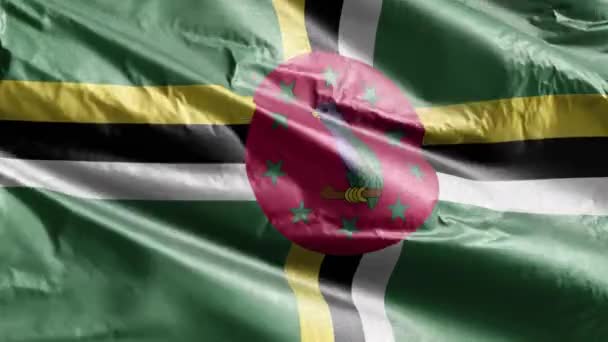 Dominická Textilní Vlajka Vlnící Větrné Smyčce Dominikánský Prapor Houpe Větru — Stock video