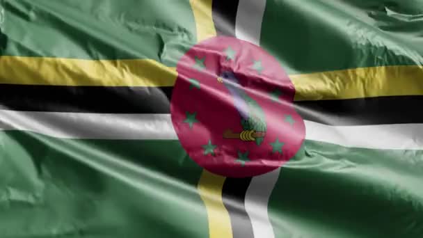 Dominica Flag Vinker Vindløkken Dominica Banner Svajer Brisen Fuld Påfyldningsbaggrund – Stock-video