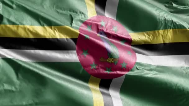 Die Textilfahne Dominicas Weht Langsam Auf Der Windschleife Dominica Banner — Stockvideo