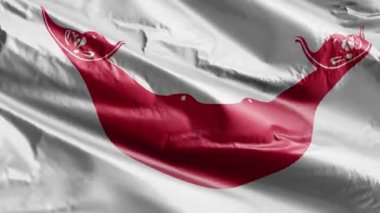 Aland bayrağı rüzgarda dalgalanıyor. Aland bayrağı rüzgarda sallanıyor. Tam dolgu arkaplanı. 10 saniye döngü. 