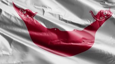 Aland bayrağı rüzgar döngüsünde yavaşça dalgalanıyor. Aland afişi rüzgarda hafifçe sallanıyor. Tam dolgu arkaplanı. 20 saniye döngü. 