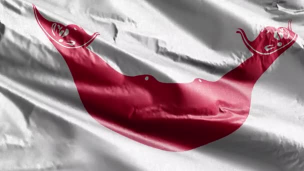 Landbaserad Textilflagga Som Sakta Viftar Vindslingan Landfana Svajar Smidigt Vinden — Stockvideo