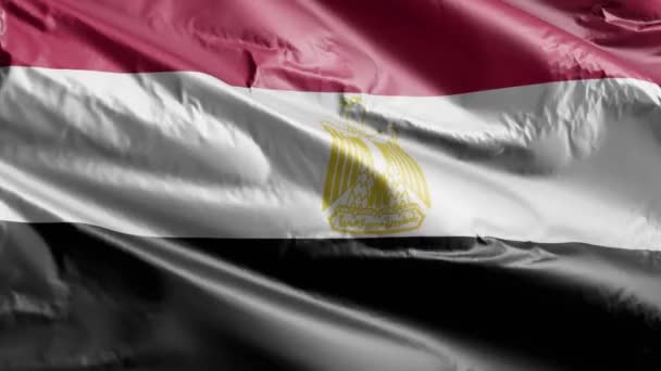 Egypten Flagga Långsam Vinka Vindslingan Egyptisk Fana Svajar Smidigt Vinden — Stockvideo