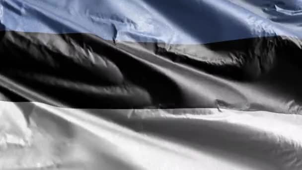 エストニアの繊維フラグは 風のループに手を振る エストニアの旗が風に揺れる 繊維組織だ 完全充填の背景 10秒ループ — ストック動画