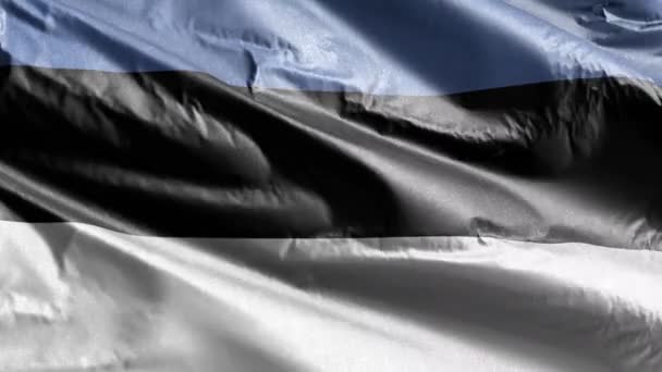 Estland Textila Flagga Långsam Vinka Vindslingan Estnisk Fana Svänger Smidigt — Stockvideo