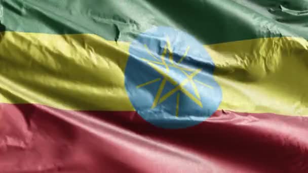 埃塞俄比亚纺织品的国旗在风向上飘扬 埃塞俄比亚国旗在微风中飘扬 织物织物织物组织 完整的背景 10秒回圈 — 图库视频影像