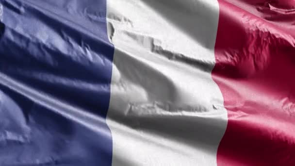 Французский Текстильный Флаг Медленно Машет Петле Ветра Французское Знамя Плавно — стоковое видео