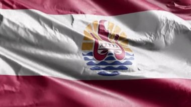 Fransız Polinezya tekstil bayrağı rüzgar döngüsünde yavaşça dalgalanıyor. Fransız Polinezya bayrağı rüzgarda hafifçe sallanıyor. Kumaş dokular. Tam dolgu arkaplanı. 20 saniye döngü. 