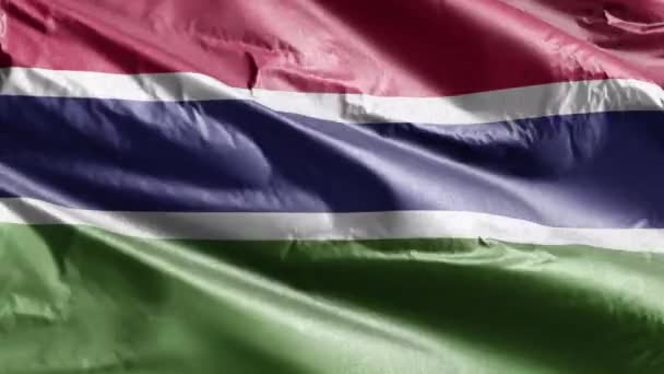 Gambia Textile Flag Waving Wind Loop Gambian Banner Swaying Breeze — Stock Video