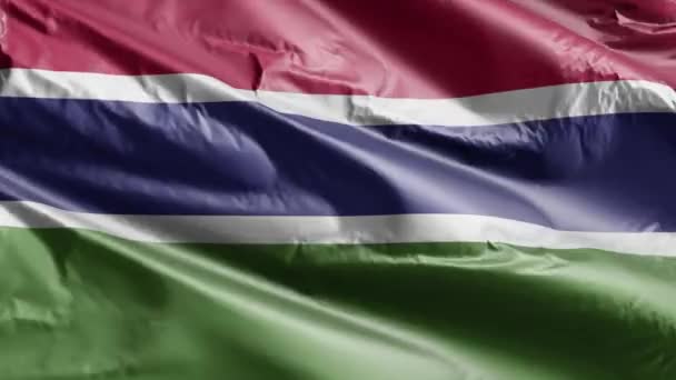 Gambiya Bayrağı Rüzgarda Dalgalanıyor Gambiya Bayrağı Rüzgarda Sallanıyor Tam Dolgu — Stok video