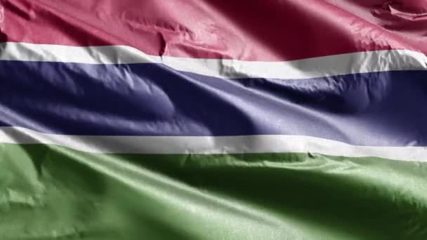 Gambia Textil Flagga Långsam Vinka Vindslingan Gambian Banner Svänger Smidigt — Stockvideo