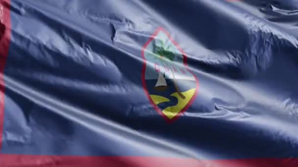 Флаг Гуама Размахивает Петле Ветра Гуамское Знамя Раскачивается Ветру Полный — стоковое видео