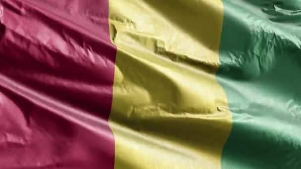 Die Guineische Textilfahne Weht Auf Der Windschleife Die Guineische Fahne — Stockvideo