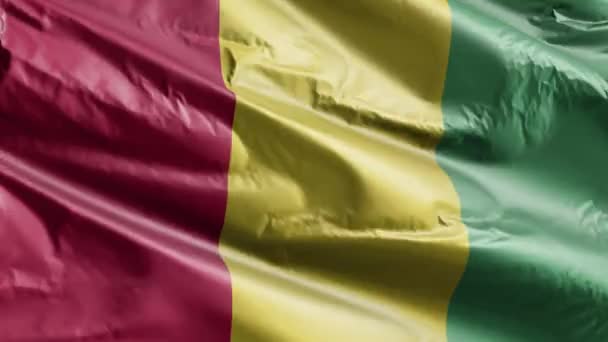 几内亚国旗在风圈上飘扬 几内亚国旗在微风中飘扬 完整的背景 10秒回圈 — 图库视频影像