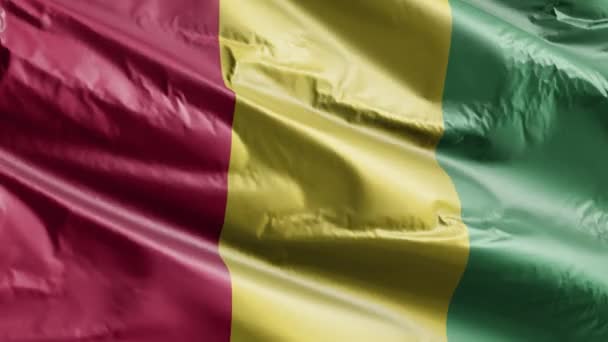 几内亚国旗在风向上缓缓飘扬 几内亚国旗在微风中飘扬 完整的背景 20秒回圈 — 图库视频影像