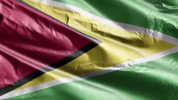 Guyana Textile Flag Waving Wind Loop Guyanese Banner Swaying Breeze — Stock Video