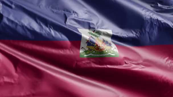 Haïti Vlag Zwaaiend Wind Lus Haïtiaanse Spandoek Zwaaiend Wind Volledige — Stockvideo
