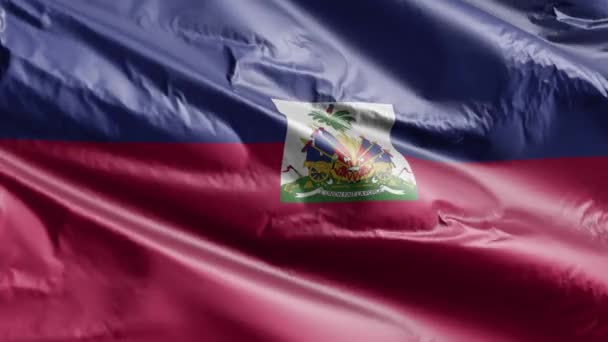 Bandera Haití Ondeando Lentamente Bucle Del Viento Pancarta Haitiana Balanceándose — Vídeos de Stock