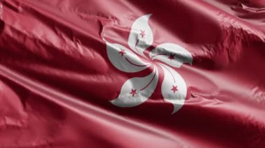 Hong Kong bayrağı rüzgar döngüsünde yavaşça dalgalanıyor. Hong Kong afişi rüzgarda hafifçe sallanıyor. Tam dolgu arkaplanı. 20 saniye döngü. 