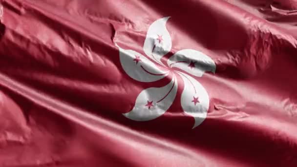 Bandeira Têxtil Hong Kong Acenando Circuito Vento Bandeira Hong Kong — Vídeo de Stock