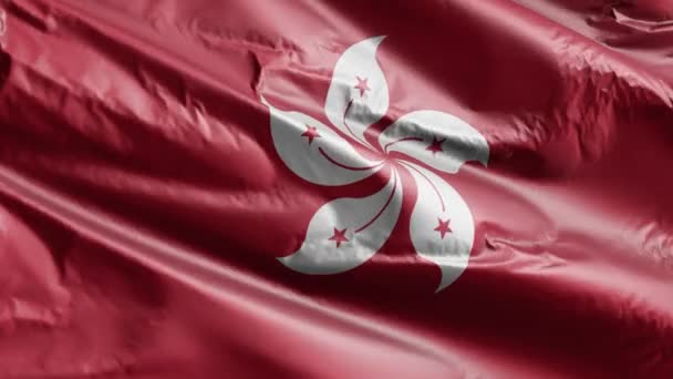 Hong Kong Bayrağı Rüzgar Döngüsünde Yavaşça Dalgalanıyor Hong Kong Afişi — Stok video