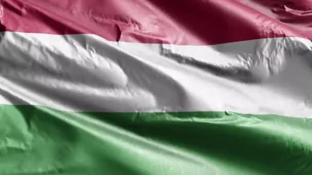 匈牙利纺织品的国旗在风向上飘扬 匈牙利国旗在微风中飘扬 织物织物织物组织 完整的背景 10秒回圈 — 图库视频影像