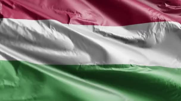 Флаг Венгрии Размахивающий Петле Ветра Знамя Венгрии Раскачивается Ветру Полный — стоковое видео