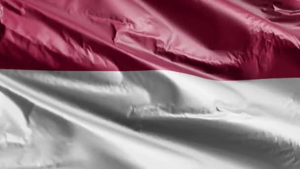 Endonezya Bayrağı Rüzgarda Dalgalanıyor Endonezya Bayrağı Rüzgarda Sallanıyor Tam Dolgu — Stok video