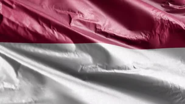 Indonésia Bandeira Têxtil Lenta Acenando Loop Vento Bandeira Indonésia Balançando — Vídeo de Stock