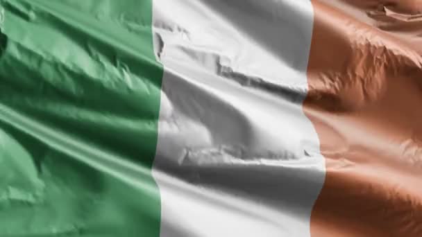 Irland Flagge Weht Auf Der Windschleife Irische Fahne Die Wind — Stockvideo