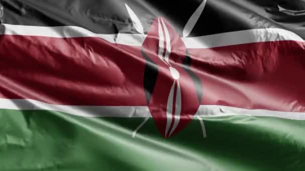 Kenya Flag Waving Wind Loop Kenyan Banner Swaying Breeze Full — Stock Video